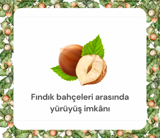 gafullukfıkdık